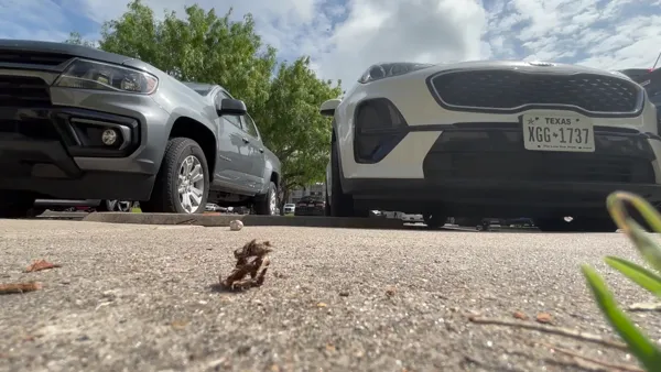 Video 3